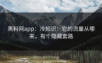黑料网app：冷知识：它的流量从哪来，有个隐藏套路