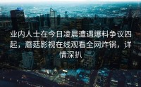 业内人士在今日凌晨遭遇爆料争议四起，蘑菇影视在线观看全网炸锅，详情深扒