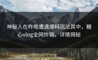 神秘人在昨晚遭遇爆料沉沦其中，糖心vlog全网炸锅，详情揭秘