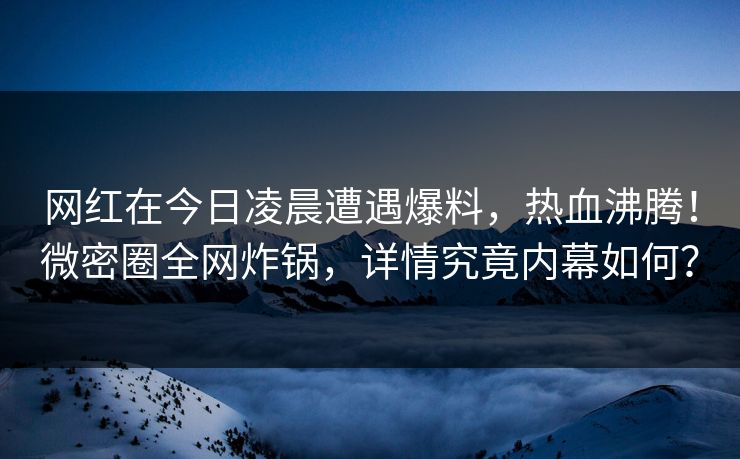 网红在今日凌晨遭遇爆料，热血沸腾！微密圈全网炸锅，详情究竟内幕如何？
