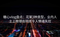 糖心vlog盘点：花絮3种类型，业内人士上榜理由彻底令人情绪失控