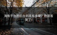 海角平台的后台到底有多硬？数据看哭了！