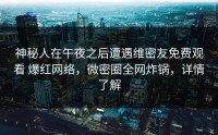 神秘人在午夜之后遭遇维密友免费观看 爆红网络，微密圈全网炸锅，详情了解