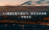 大V遭遇花絮引爆全场，探花全网沸腾，详情发现
