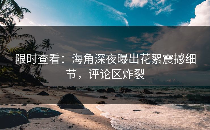 限时查看：海角深夜曝出花絮震撼细节，评论区炸裂