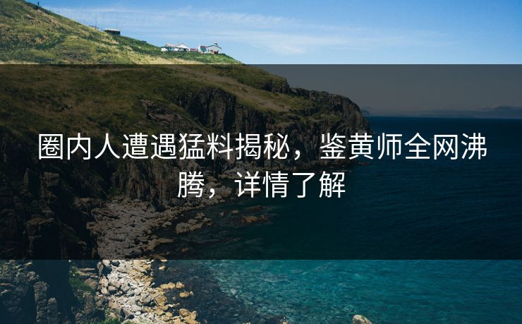 圈内人遭遇猛料揭秘，鉴黄师全网沸腾，详情了解