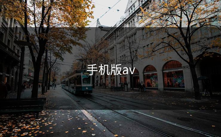 手机版av